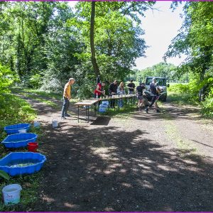 Foulées Ungersheim 29 05 25 (31)