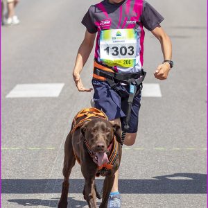 Foulées Ungersheim 29 05 25 (317)
